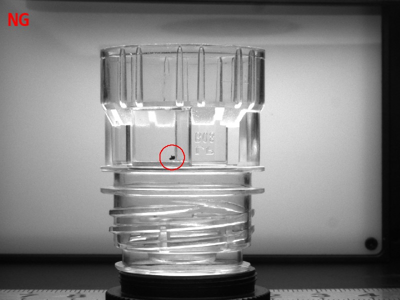 Plastic Cap Defects